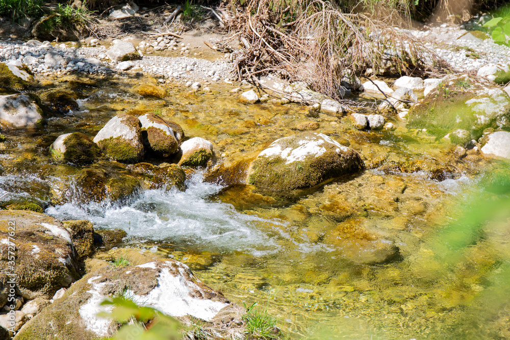 Bavarian forest in Germany.Summer vacation. Bavarian forest in Germany.Summer vacation.