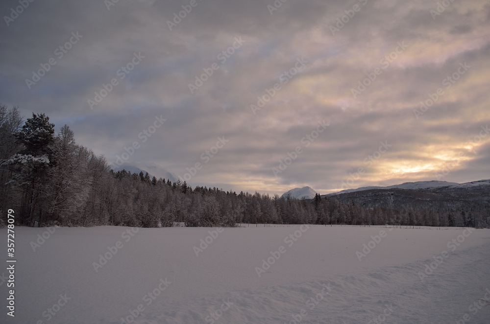 pink dawn sky over frost ice and snowy winter forest and field landscape