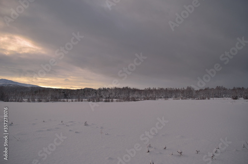 pink dawn sky over frost ice and snowy winter forest and field landscape