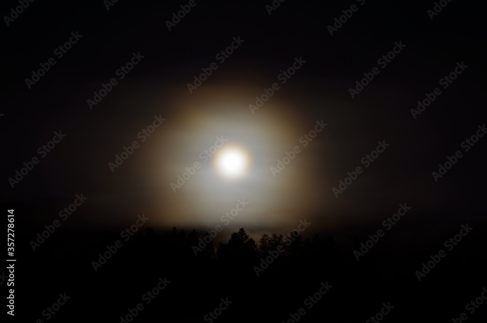 dreamy full moon night sky over spruce tree forest and mountain in autumn dreamy full moon night sky over spruce tree forest and mountain in autumn