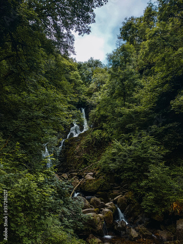 Waterfall in the middle of a forest