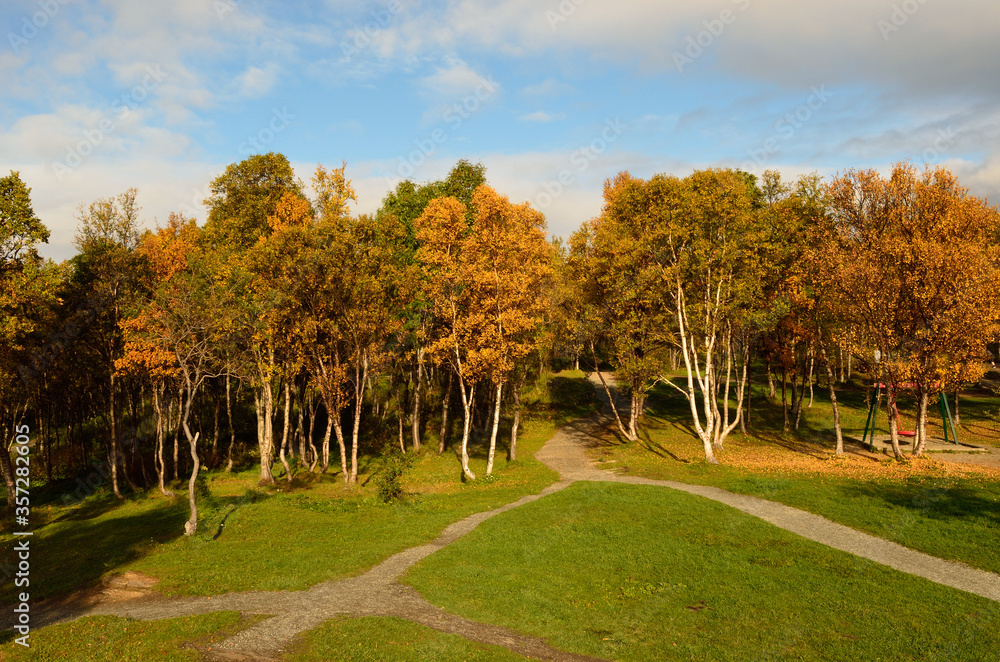 vibrant autumn forest with playground swing set and hiking trails vibrant autumn forest with playground swing set and hiking trails