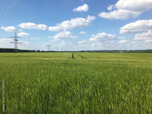 Agricultural field in bavaria © Anton