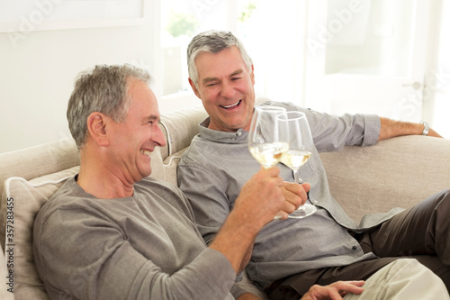 Senior men toasting wine glasses on sofa