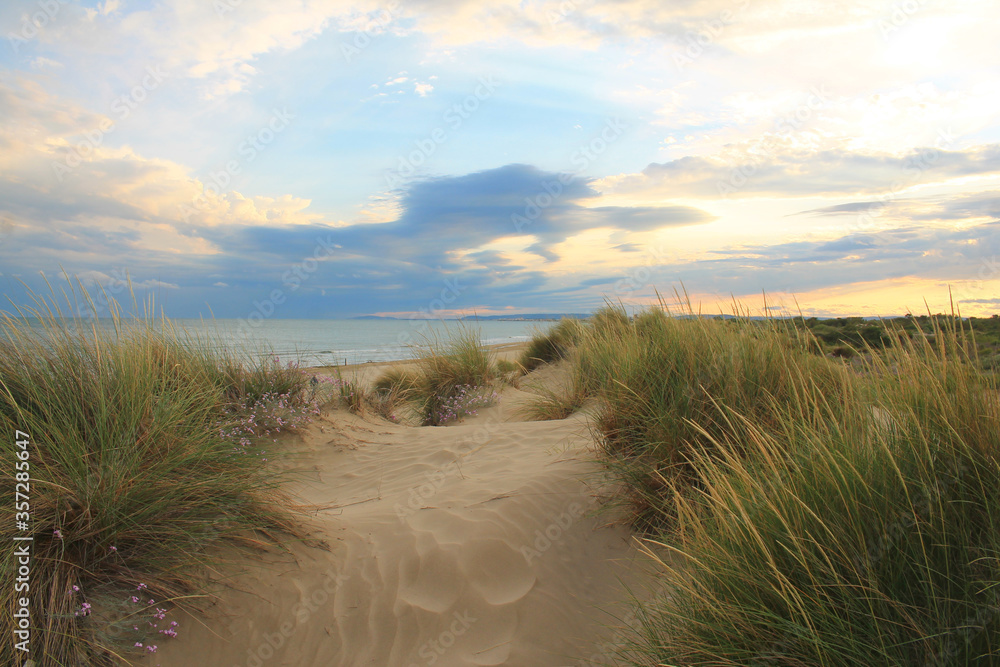 Natural and wild beach with a beautiful and vast area of dunes, Camargue region in the South of Montpellier, France
