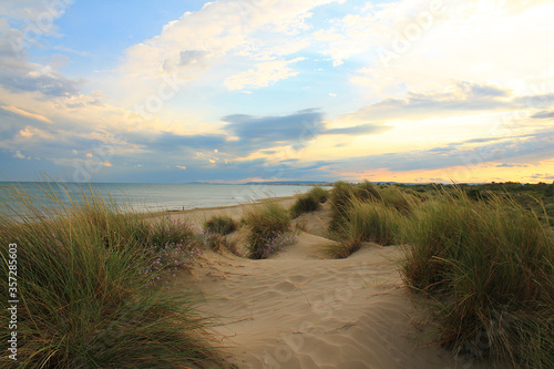 Natural and wild beach with a beautiful and vast area of dunes  Camargue region in the South of Montpellier  France 
