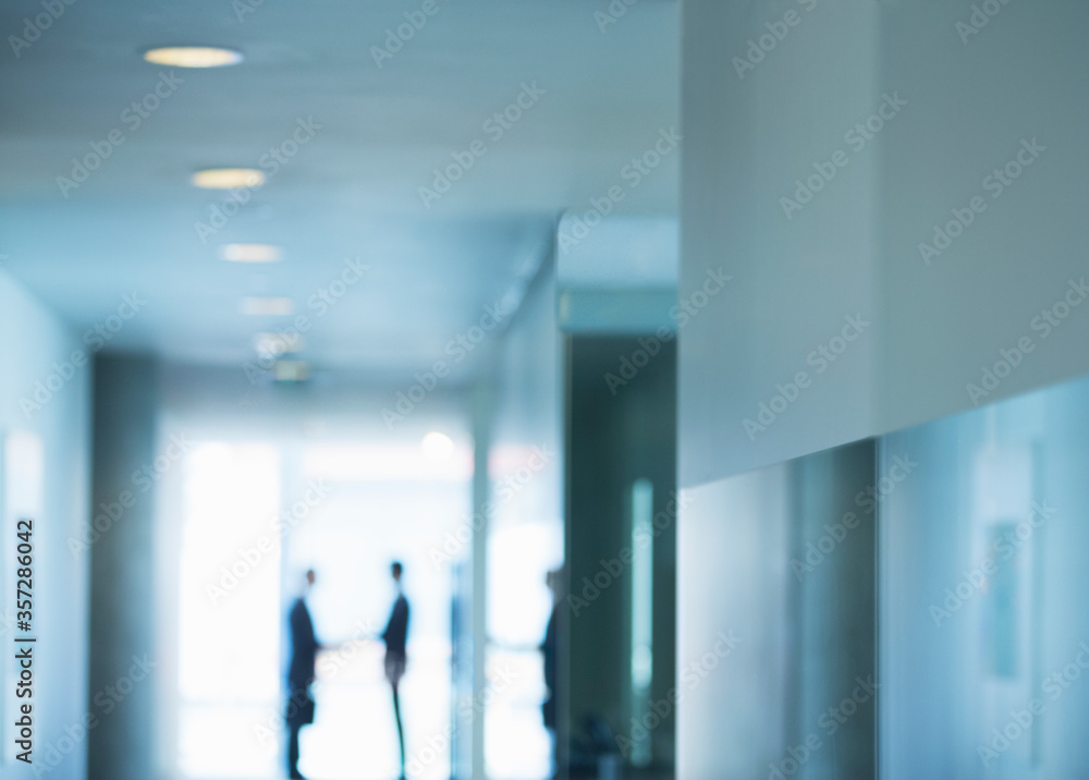 Silhouette of businessmen shaking hands in office Silhouette of businessmen shaking hands in office