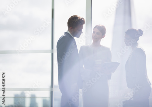 Wall Mural Business people talking in office