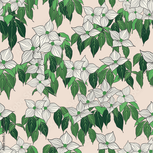 ivory dogwood flower green leaf neutral ivory background design