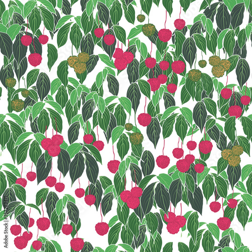 pinkish dogwood fruit green leaf white background design