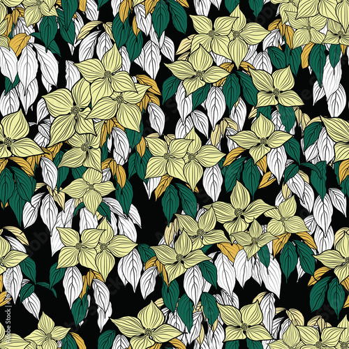 yellow dogwood flower green leaf black background design