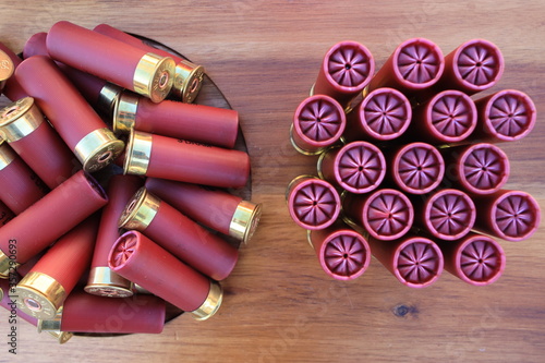 Canvas Print shotgun shells