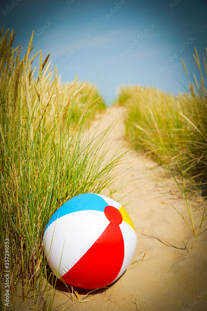 Beach ball in beach grass