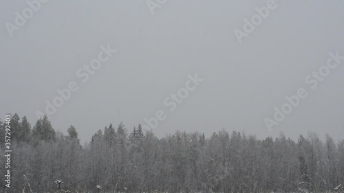 Wallpaper Mural heavy snowfall over pasture field in late autumn Torontodigital.ca