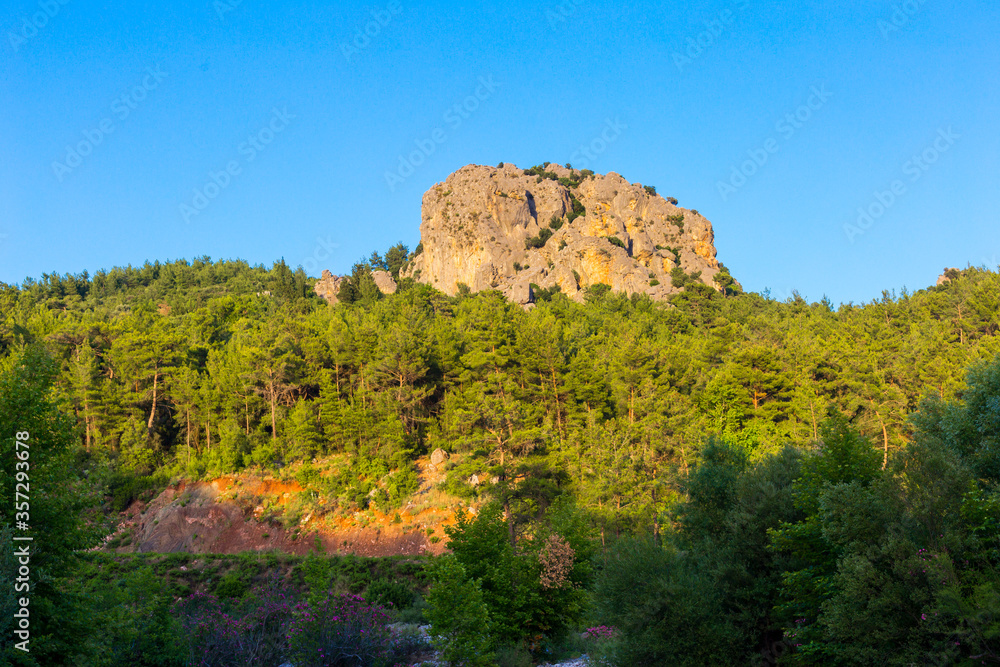 A Rocky Mountain and forest landscape