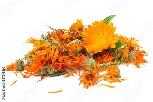 marigold flowers with petals isolated on white background. calendula flower.