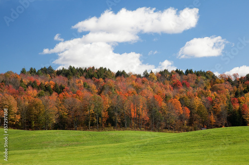 Autumn trees, Adirondacks, New York, United States