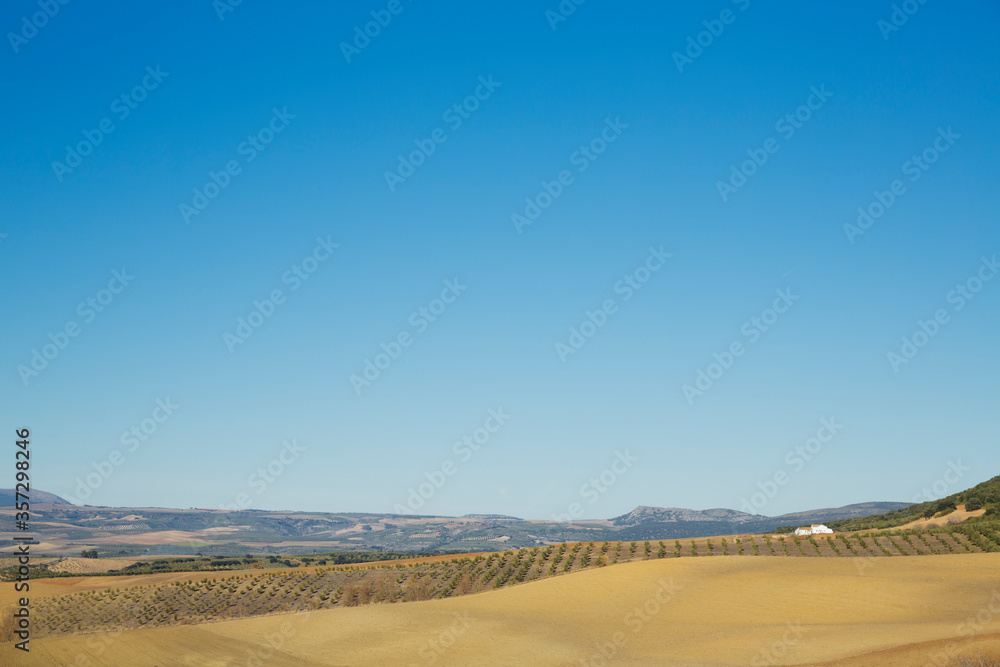 Rural landscape under blue sky