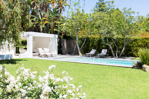 Swimming pool and backyard of modern house photo