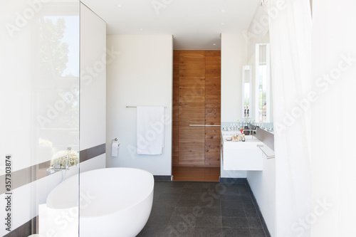 Modern bathroom interior with large bathtub and wooden door