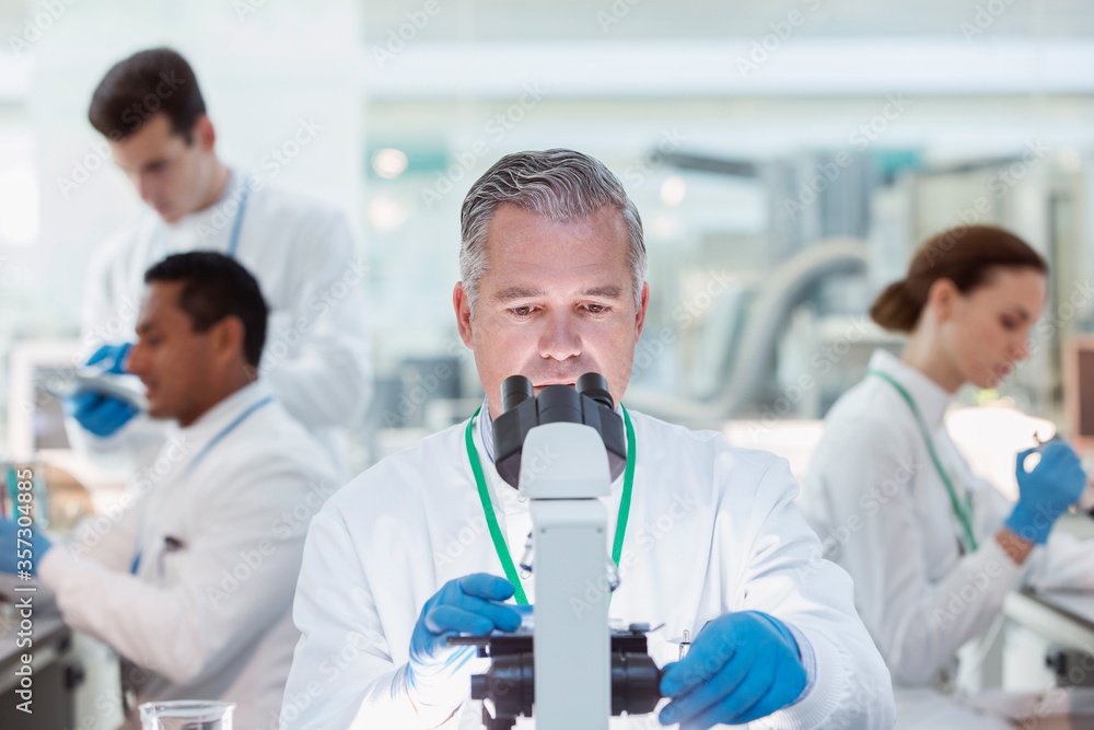 Fototapeta premium Scientist examining sample under microscope in laboratory