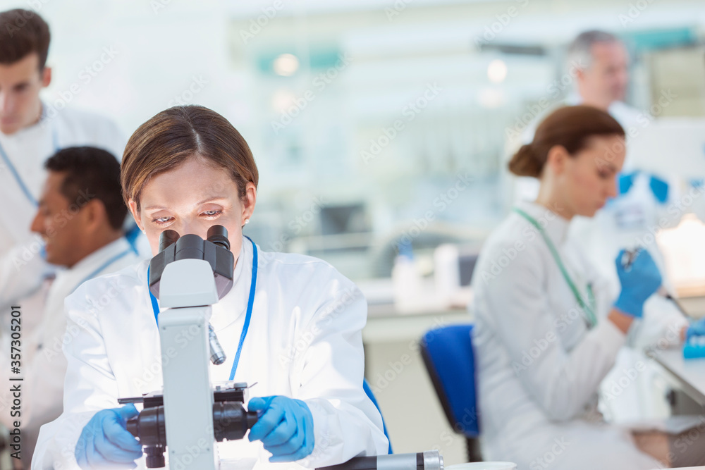 Scientist examining sample under microscope in laboratory Scientist examining sample under microscope in laboratory