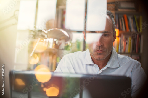 Εκτύπωση καμβά Businessman using laptop in home office