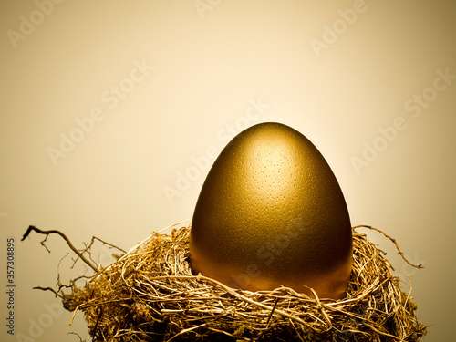 Fotografia Golden egg on gold nest still life