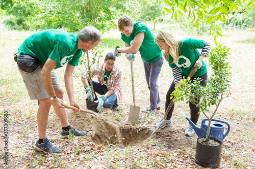 Fotografie Environmentalist volunteers planting new tree