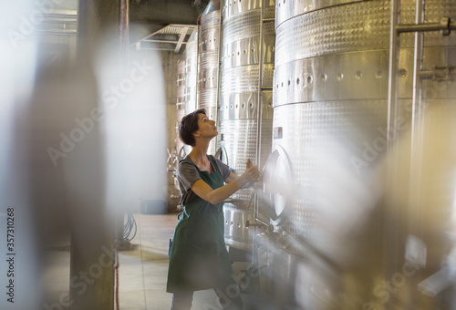 Vintner checking stainless steel vat in winery cellar photo