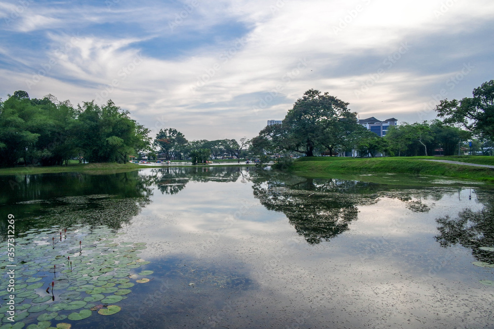 Fototapeta premium selective focus and partially blur of Taiping Lake Gardens which is located in Malaysia and one quarter of the country's tourist attractions. Reflection in water.