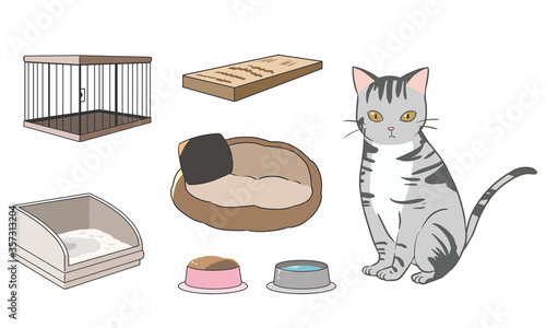 ネコを飼うときの準備