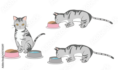 食事をするネコ