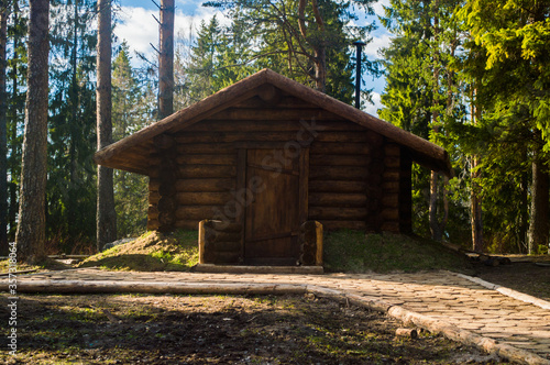 An old wooden house stands in a forest among pines and firs. © Alla Evgrafova