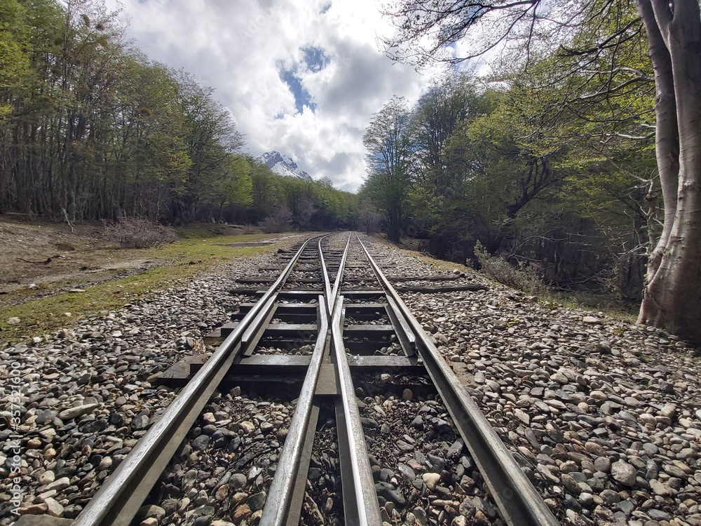 Fototapeta premium railway in the woods