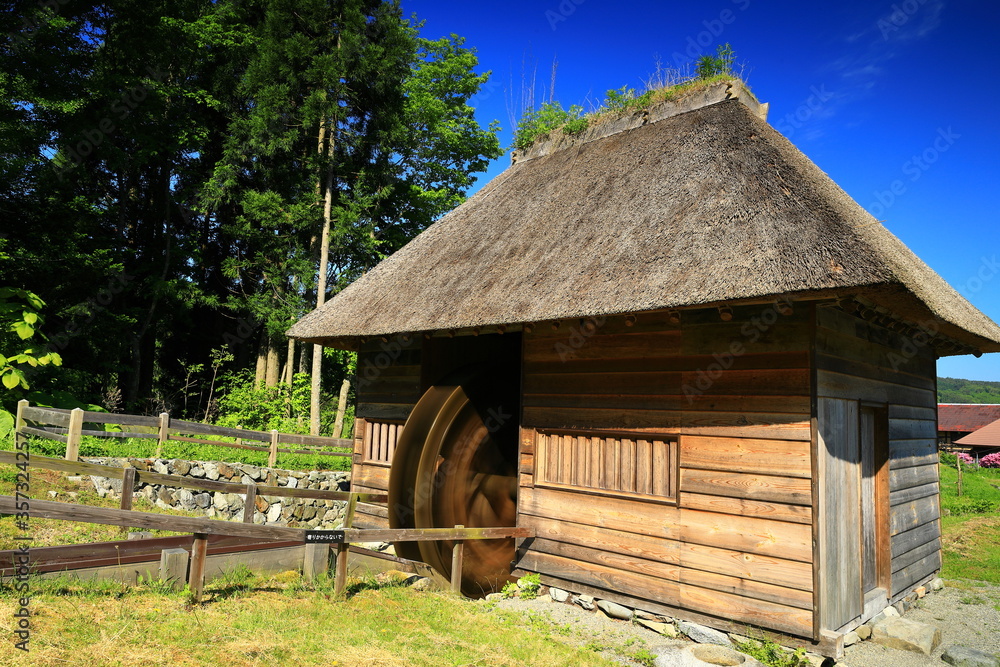 Obraz premium 新緑の山口の水車小屋