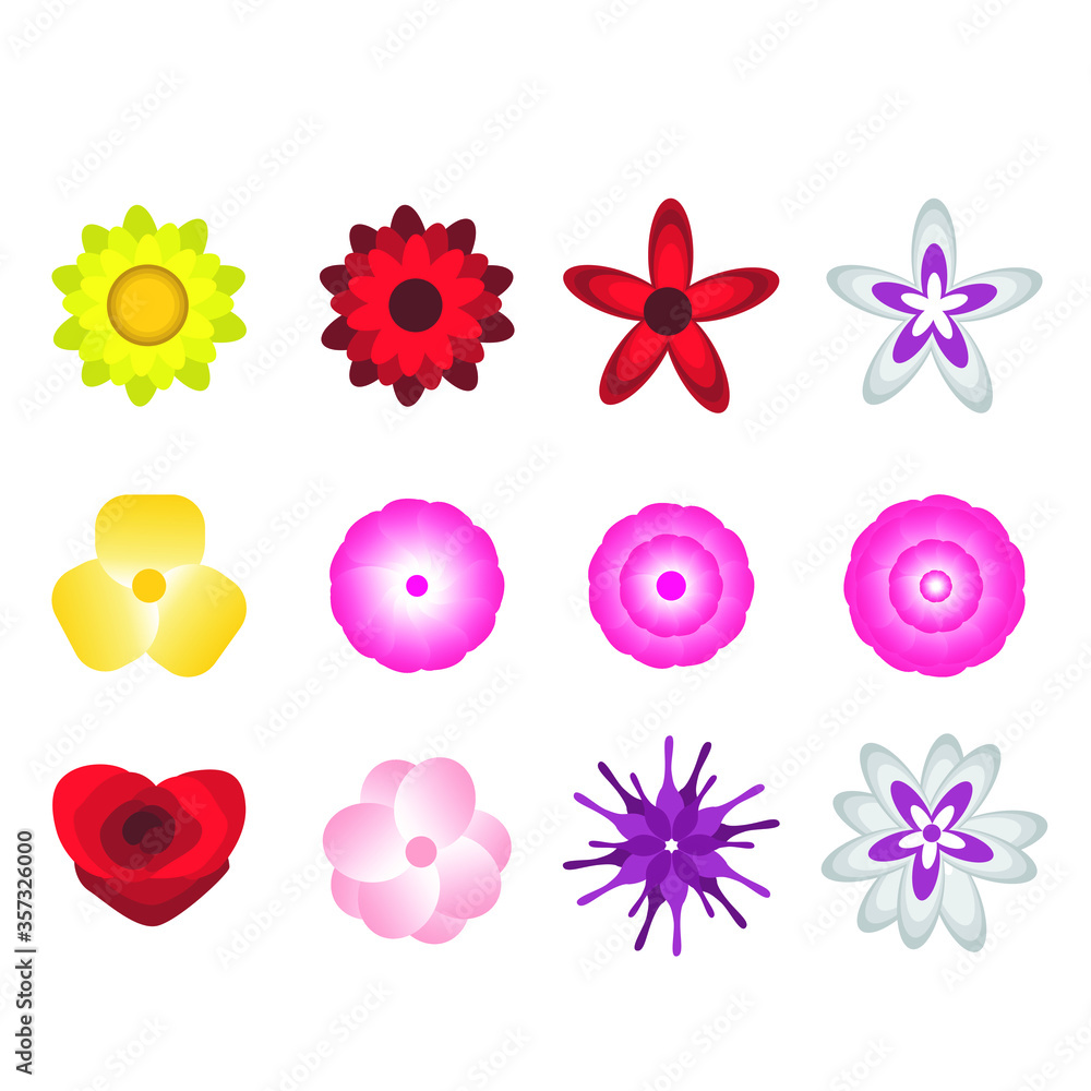 Set of Vector Design of Flower in Yellow, Red, Purple, White, and Pink