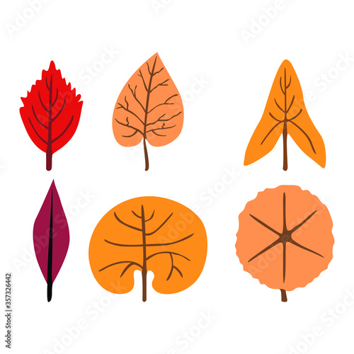 Set of Simple Vector a Leaf in Red  Cream  Yellow and Purple