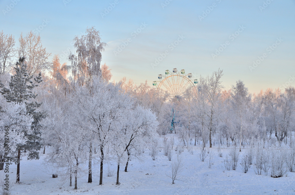 Trees covered with hoarfrost in the first rays of the sun Trees covered with hoarfrost in the first rays of the sun