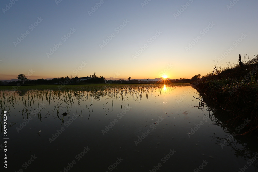 Obraz premium sunset on the river