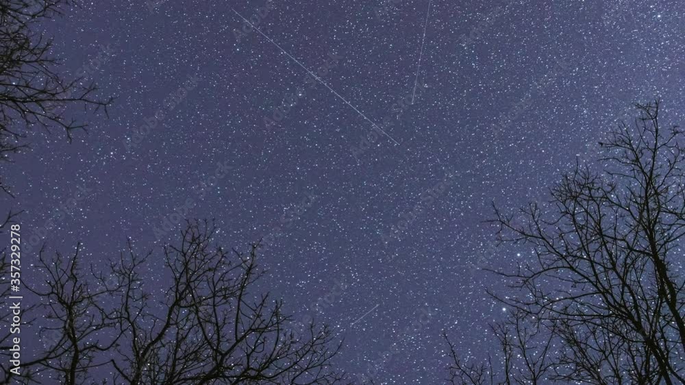 Night Sky Stars Above Oak Trees Branches In Early Spring. Natural Starry Sky Above Woods. Night Sky Background. Timelapse. Night Sky Stars Above Oak Trees Branches In Early Spring. Natural Starry Sky Above Woods. Night Sky Background. Timelapse.