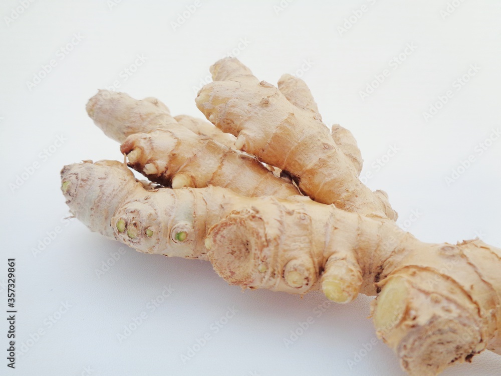 Bitter ginger with white background. Bitter ginger also called Zingiber zerumbet, awapuhi, shampoo ginger, lempuyang and pinecone ginger. Used as food flavoring and appetizers in various cuisines food Bitter ginger with white background. Bitter ginger also called Zingiber zerumbet, awapuhi, shampoo ginger, lempuyang and pinecone ginger. Used as food flavoring and appetizers in various cuisines food