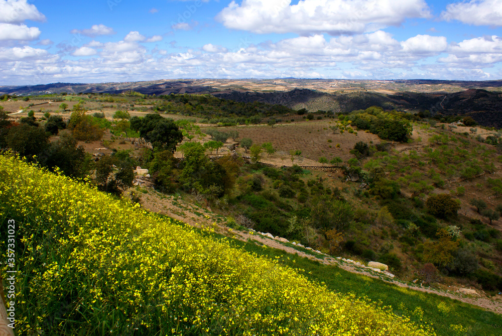 Landscape whit yellow flowers and beautiful cloudy sky in the north of Spain