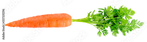 fresh carrots isolated on a white background