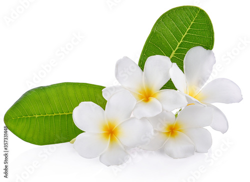 frangipani flower isolated white background © tanadtha