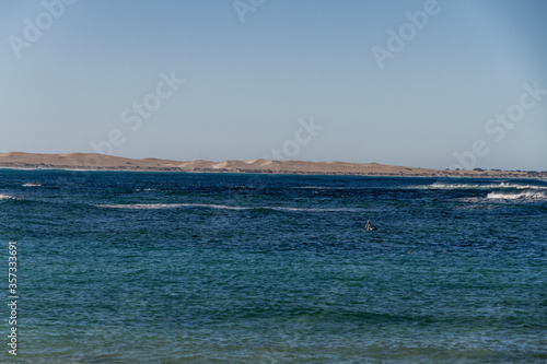 A lone pelican sits on turquoise water in a remote bay, South Australia