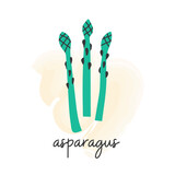 Asparagus hand drawn icon illustration with text.