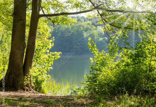 A lonely forest lake in nice summer weather, on its shore there are bushes and trees. photo