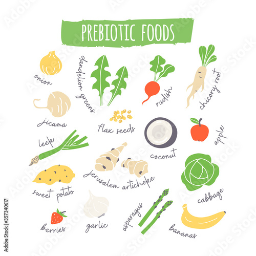 Prebiotic fruit and vegetables hand drawn icons set. photo