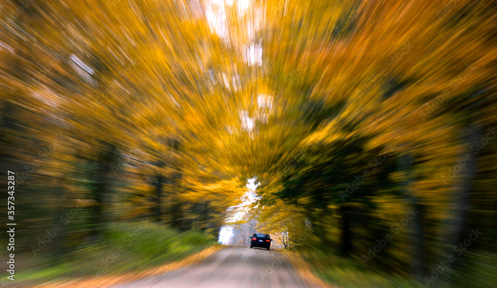 Country road. Landscape with autumn leaf color, and beautiful asphalt road in autumn.